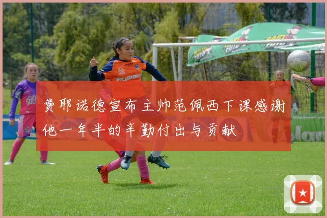 费耶诺德宣布主帅范佩西下课感谢他一年半的辛勤付出与贡献