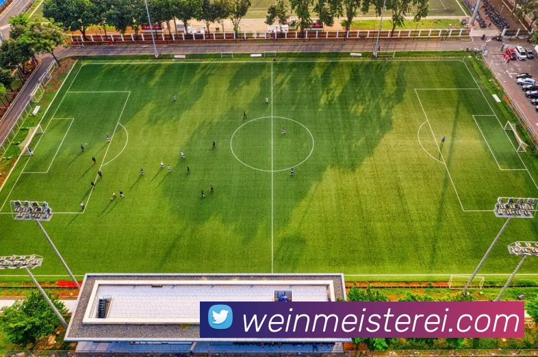 互动解说服务